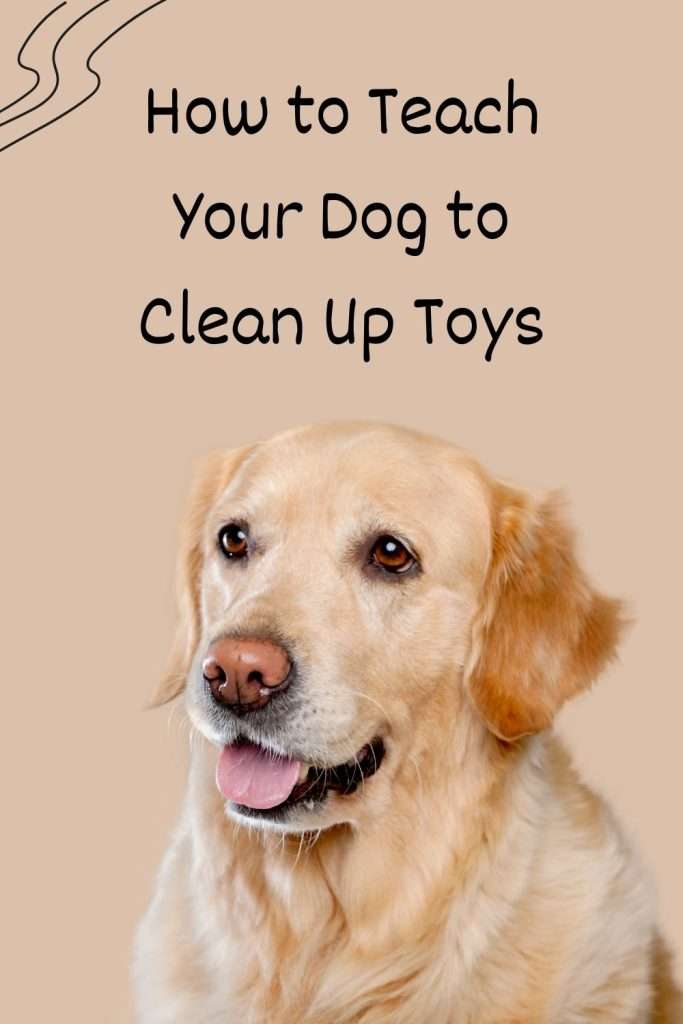 Dog Training