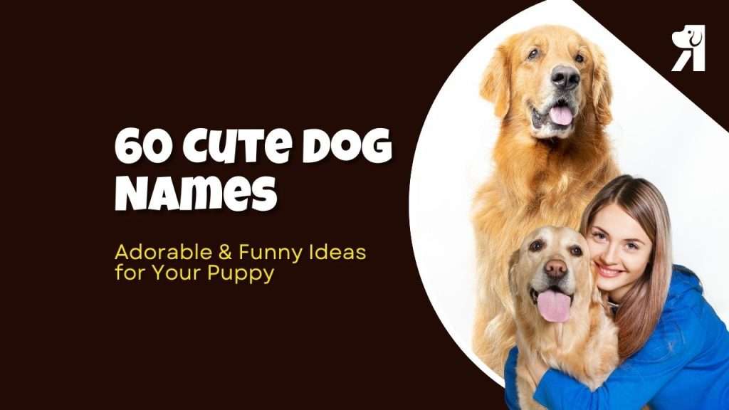 60 Cute Dog Names