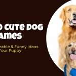 60 Cute Dog Names